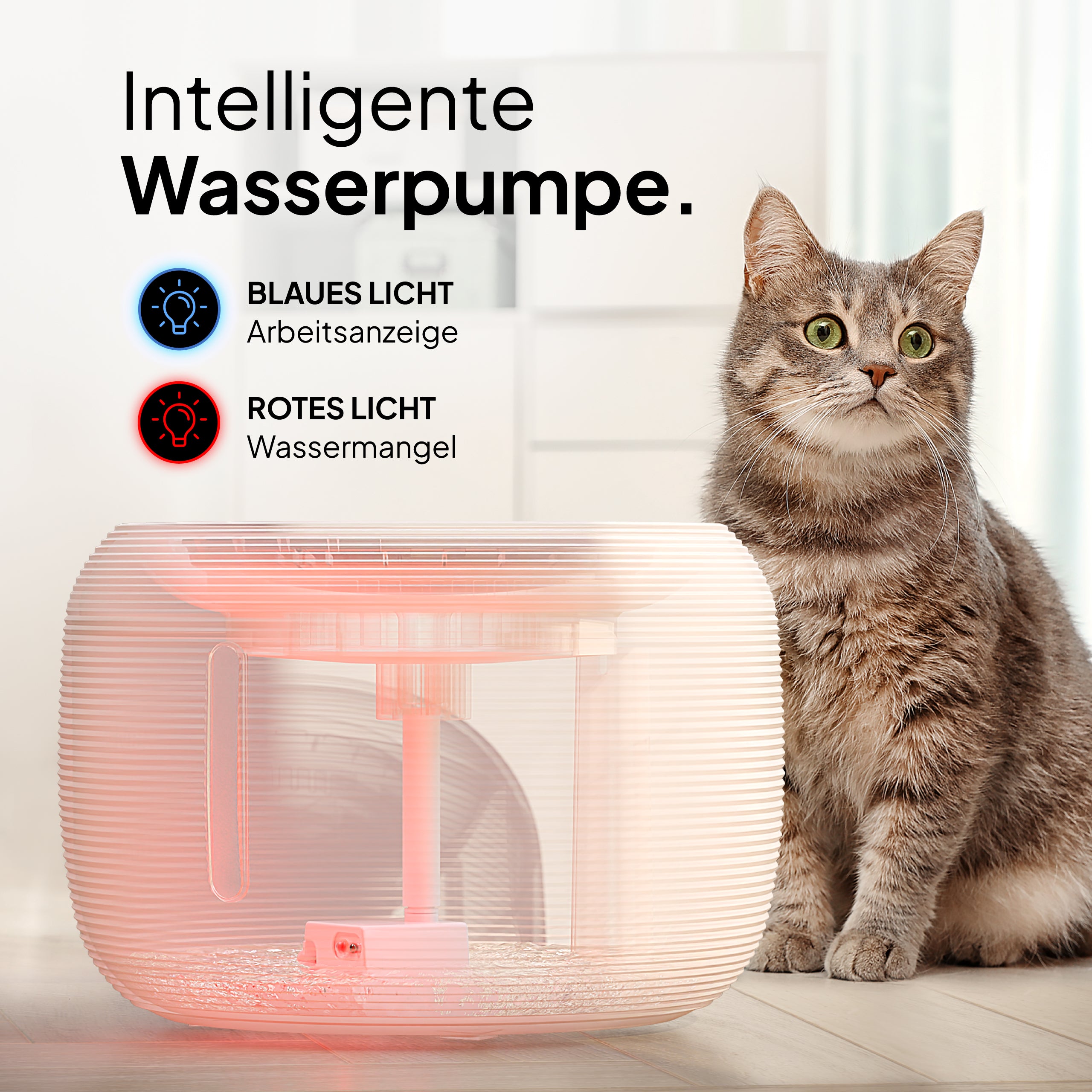 Katzen Oase - Pretty Paw© Trinkbrunnen für Katzen