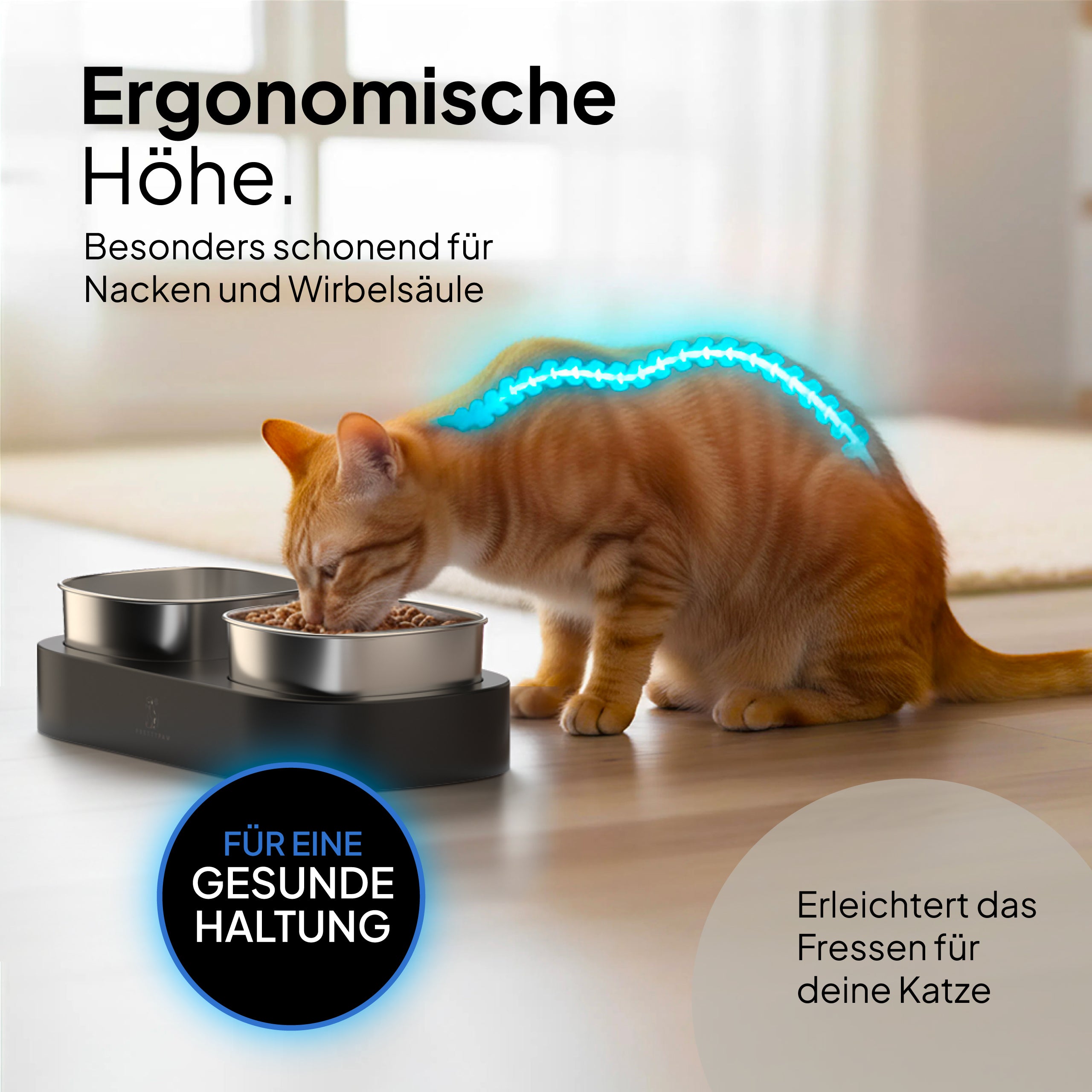 Pretty PAW® Erhöhter Katzennapf