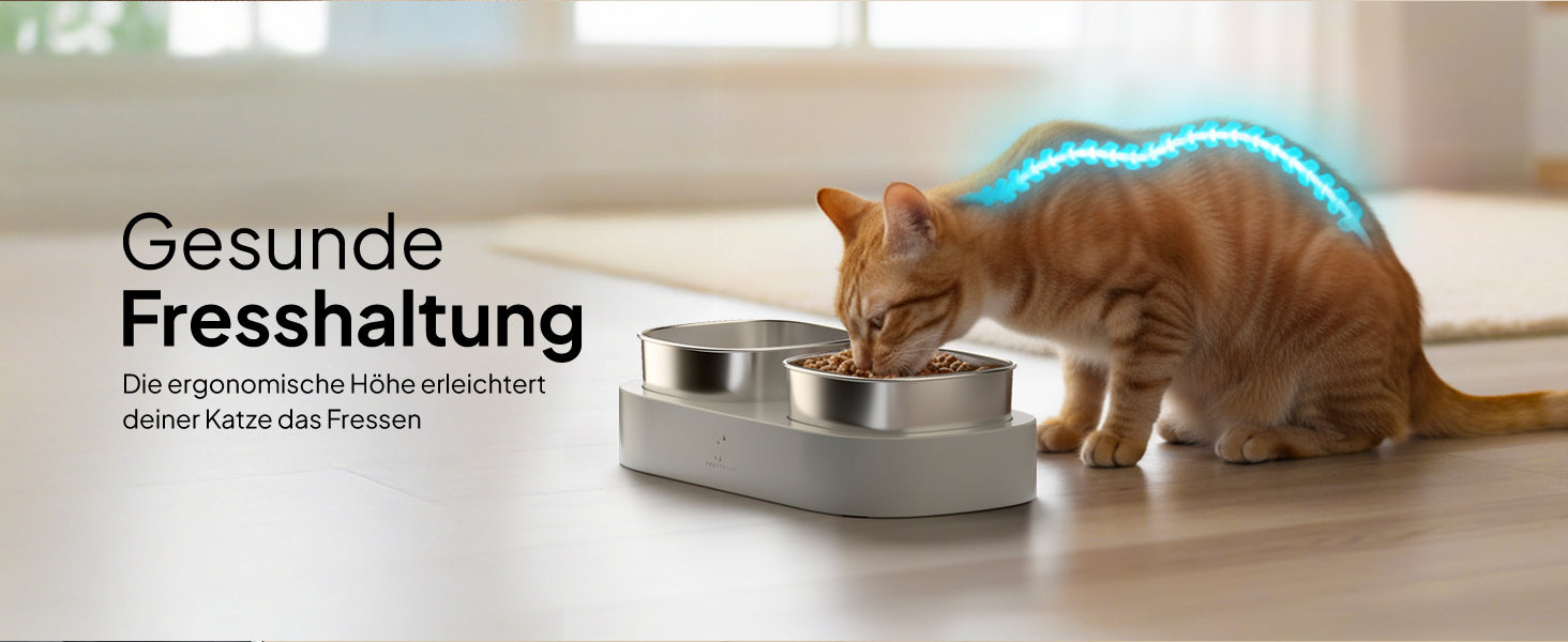 Gesunde Fresshaltung durch die Höhe vom Futternapf