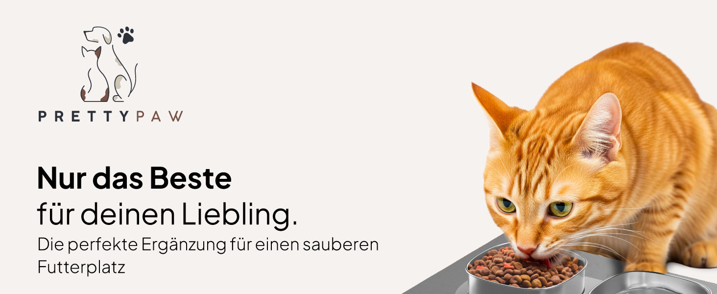 Katze frisst aus ihrem Futternapf