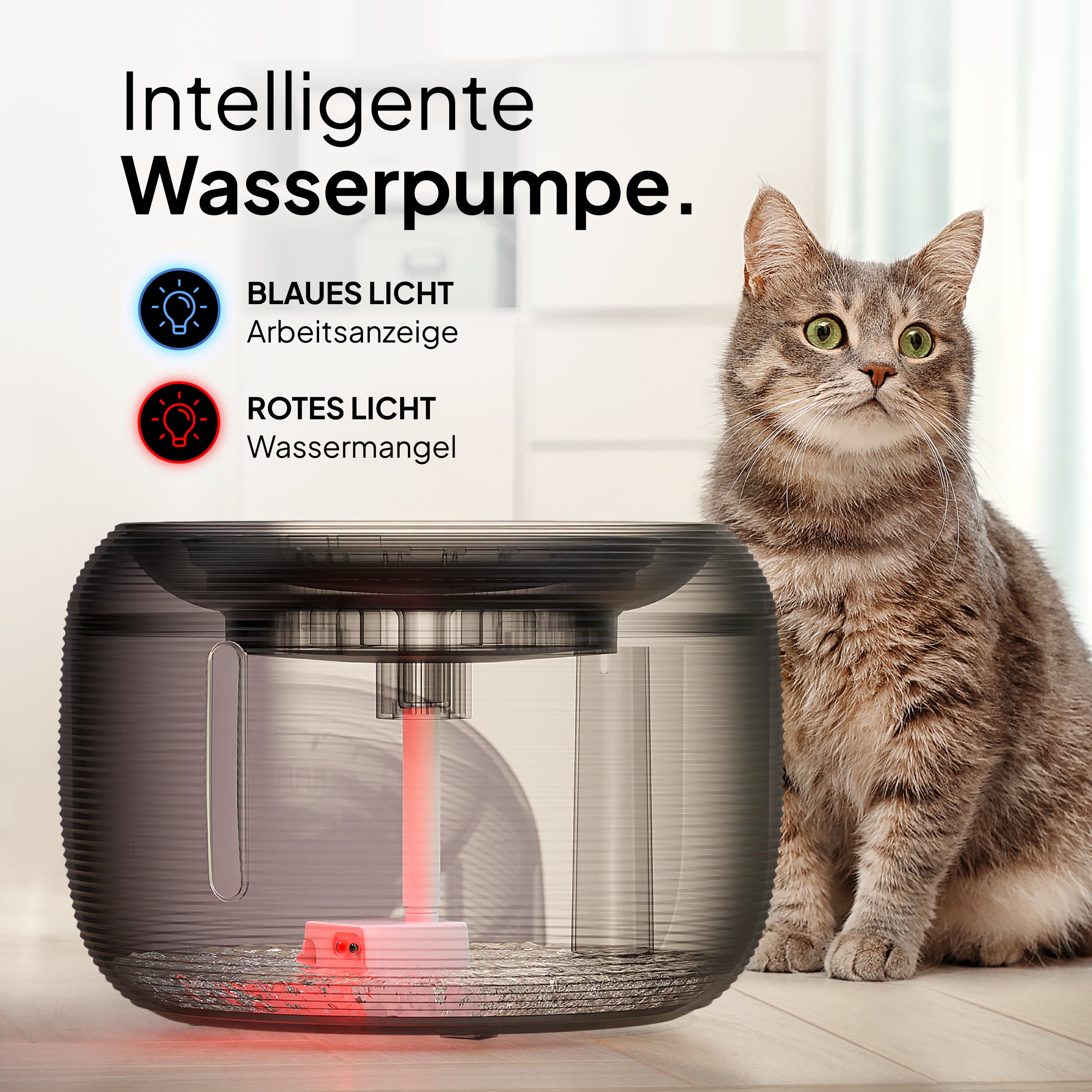 Katzen Oase - Pretty Paw© Trinkbrunnen für Katzen