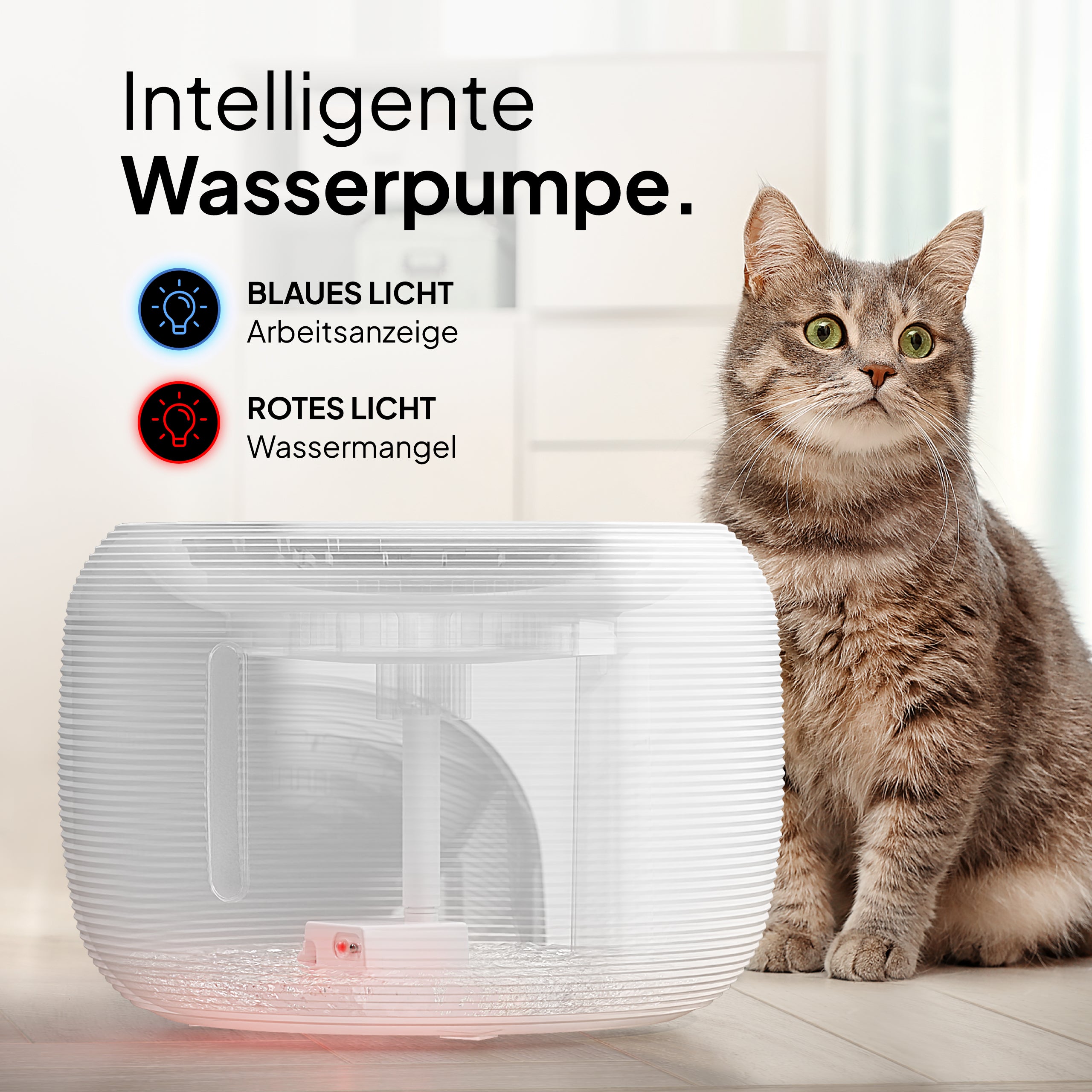 Katzen Oase - Pretty Paw© Trinkbrunnen für Katzen