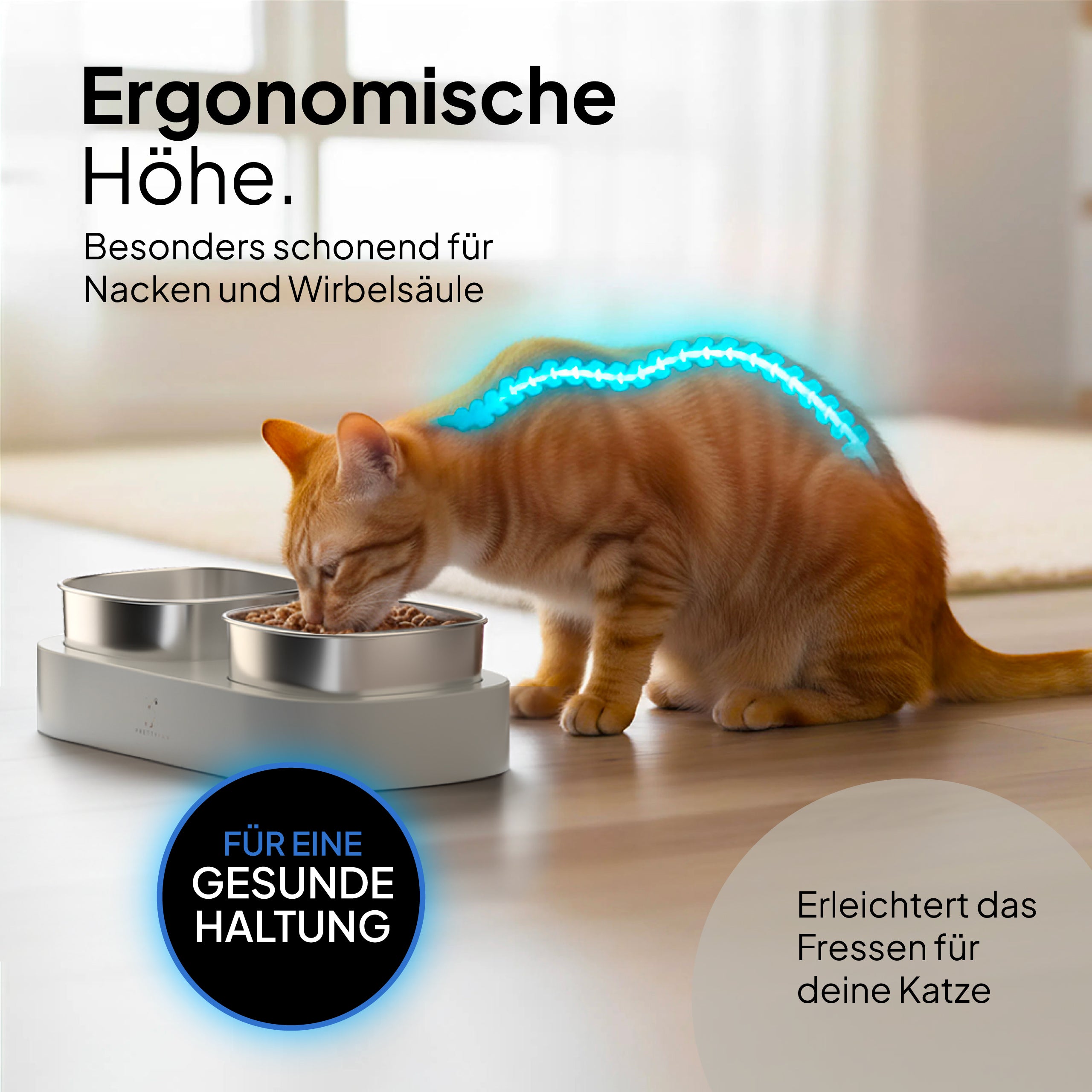 Pretty PAW® Erhöhter Katzennapf