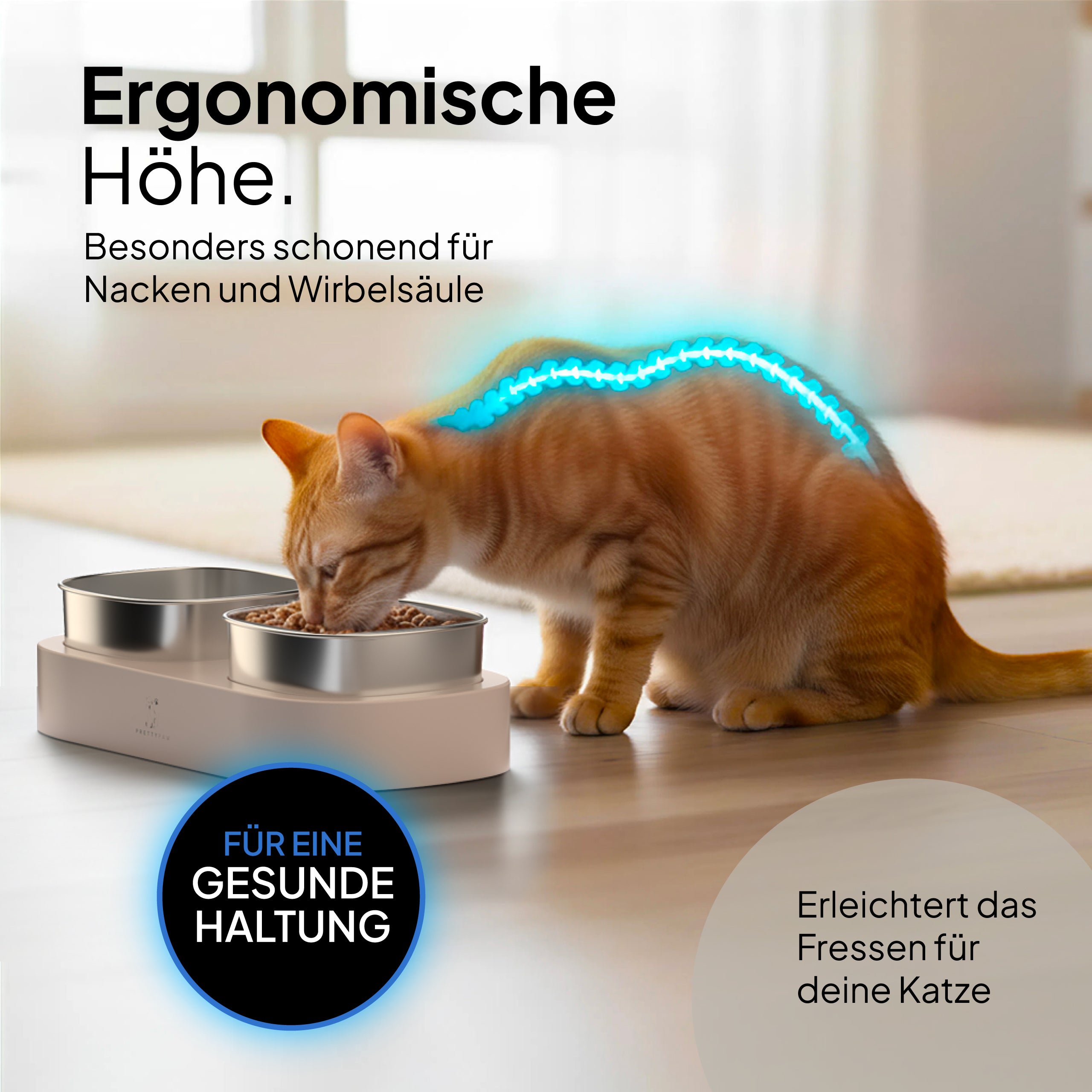 Pretty PAW® Erhöhter Katzennapf