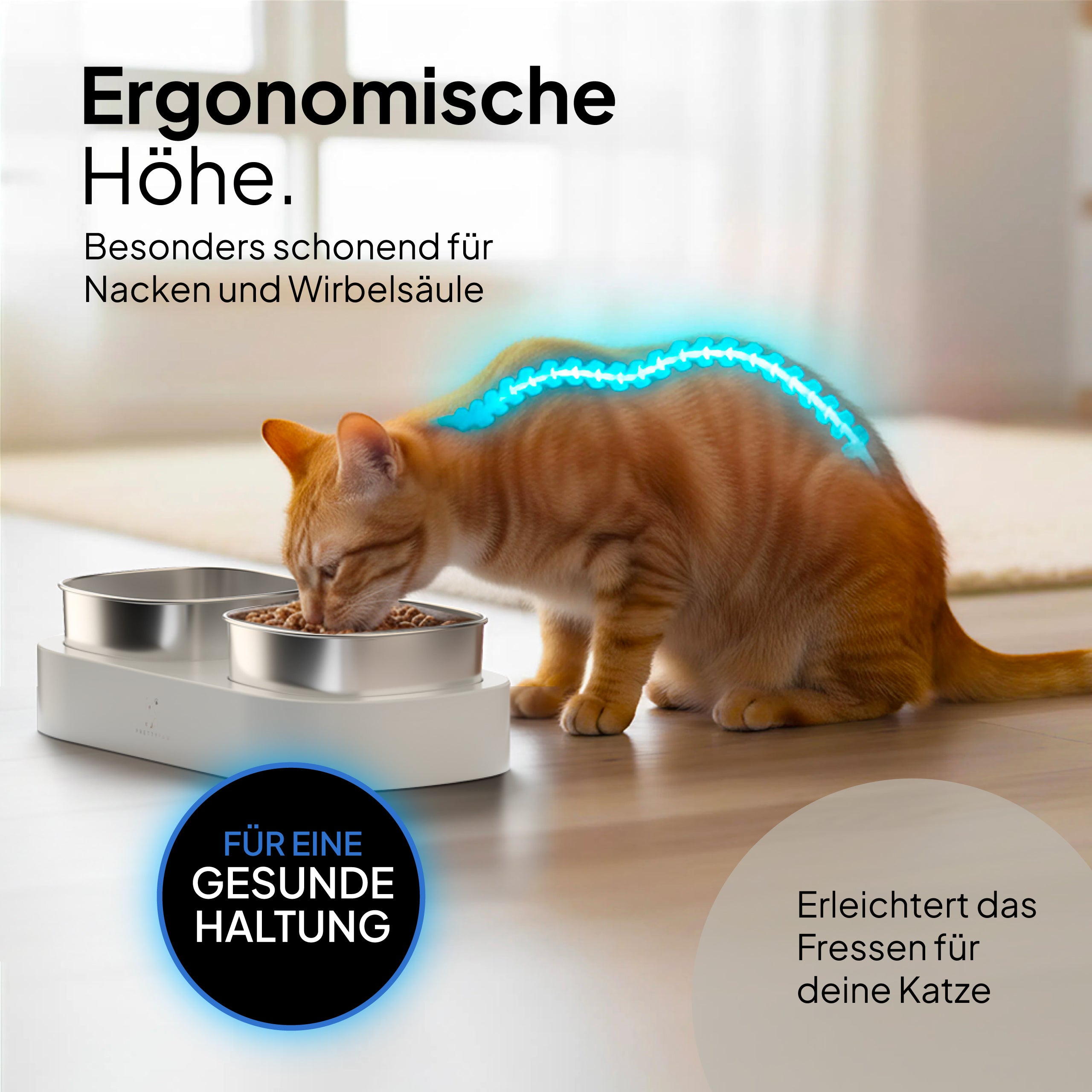 Pretty PAW® Erhöhter Katzennapf