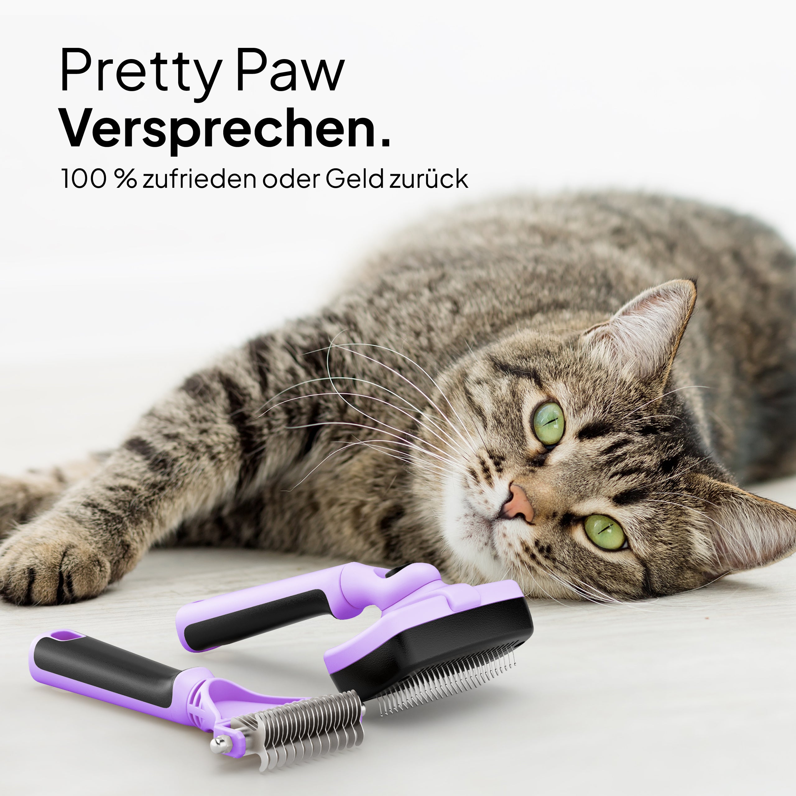 Pretty PAW® Katzenbürsten Set