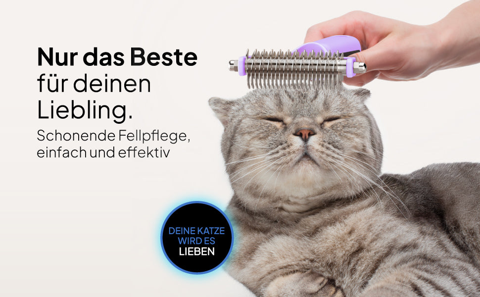 Schonende Fellpflege durch Bürste